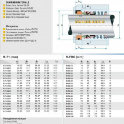 Uszczelnienie mechaniczne wału R-FBC 75, SIC/SIC, VITON, 304, NG