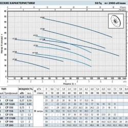 Pompa jest odśrodkowa CP 132A