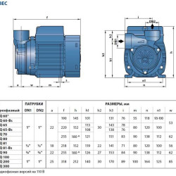 Pompa wirowa Pedrollo PQm 300