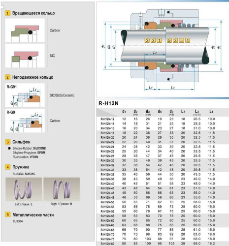 Uszczelnienie pompy R-H12N 35, SIC/SIC, VITON, 304, G9