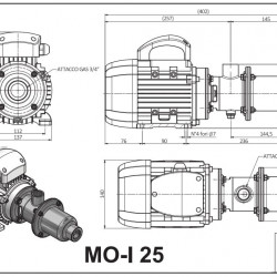Pompa śrubowa do pompowania cieczy lepkich z wtrąceniami stałymi LIVERANI MO-I 25 MF 0,25 kW, 1400 obr./min, 220 V, stal nierdzewna