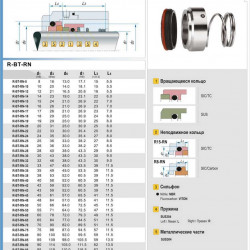 Uszczelnienie pompy R-BT-RN 90, SS/CAR, VITON, 304, T8RN