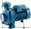 Pompa odśrodkowa Pedrollo HF 50A