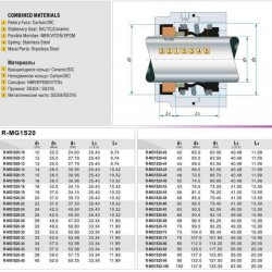 Uszczelnienie pompy R-MG1S20 16, SIC/SIC, VITON, 304, G50