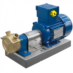 Pompa wirowa do pompowania wody morskiej LIVERANI GR ADPE SPECIAL 25, 60 l/min, TF 0,55 kW, 2800 rpm, 380V, Ex, bronze