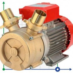 BE-T 50 pompa cieczowo-pierścieniowa do octu