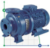 Monoblokowa pompa odśrodkowa 3DS/M 65-200/15,0