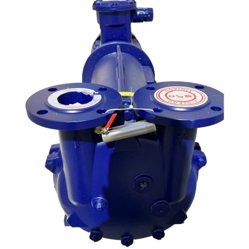 Pompa próżniowa 2BV5131 Ex