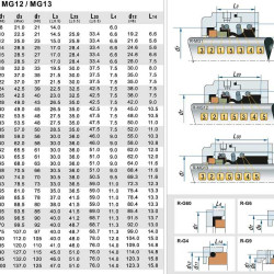 Uszczelnienie mechaniczne R-MG1 33, CAR/CER, EPDM, 304, G4