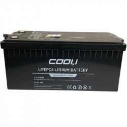 Akumulator CL-12,8V 400Ah, LiFePO4, LFP ABS obudowa stojąca z Bluetooth i wyświetlaczem