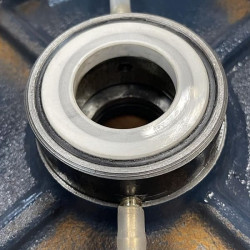 BGLH 65-250A, 55, (23,4 / 70), 11kW, 2880 pompa in-line ze stali nierdzewnej z tandemowym uszczelnieniem mechanicznym