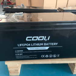 Akumulator litowo-żelazowo-fosforanowy (litowo-żelazowy) CL-25.6V 100Ah, LiFePO4, LFP ABS Obudowa stojąca na podłodze z Bluetooth i wyświetlaczem