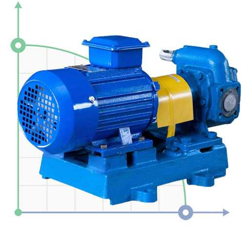 Zespół pompy zębatej BG 11-25