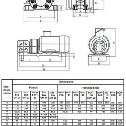 Zespół pompy zębatej BG 11-25
