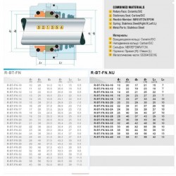 Uszczelnienie pompy R-BT-FN.NU 22, SIC/SIC, FEP, 304