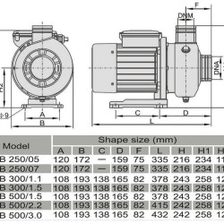 Pompa stal nierdzewna DWO B250/07, 380V/50Hz, INOX do mycia warzyw i owoców