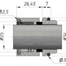 Uszczelnienie pompy R-GEA 25, CAR/SIC, VITON, 304
