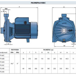 Pompa jest odśrodkowa CPm 220C