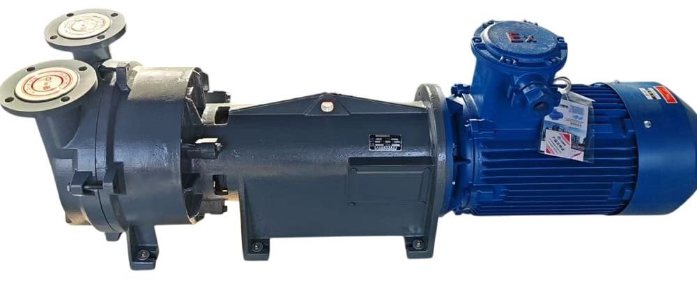 Pompa próżniowa 2BV6161 Ex (AISI 316), long frame