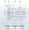 BGWH 50-200(I)B (21,8/38), 5,5kW, 2880 - pompa ze stali nierdzewnej pozioma