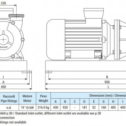 Pompa wirowa do rozpuszczalników LIVERANI EP 80 Inox +BY-PASS, 900 l/min, TF/M, 15 kW, 1400 rpm, 380 V, AISI 316, Seal Cer.-Grafit-NBR