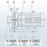 BGWH 50-250(I)A (23,4/70), 11kW, 2880 - pompa ze stali nierdzewnej pozioma