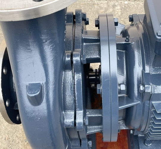 BGWH 250-250 (550/20), 45kW, 1480 - pompa ze stali nierdzewnej pozioma