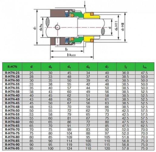 Uszczelnienie pompy R-H7N 25, SIC/SIC, VITON, 304, G9
