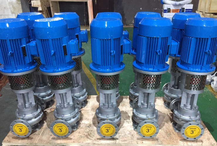 Pionowa pompa ciepła LQLRY65-65-210/2-C, 25 m3/h, 50 m, 7,5 kW, 2900 obr.