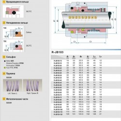 Uszczelnienie pompy R-JB103 22, SIC/CAR, VITON, 304, T5С