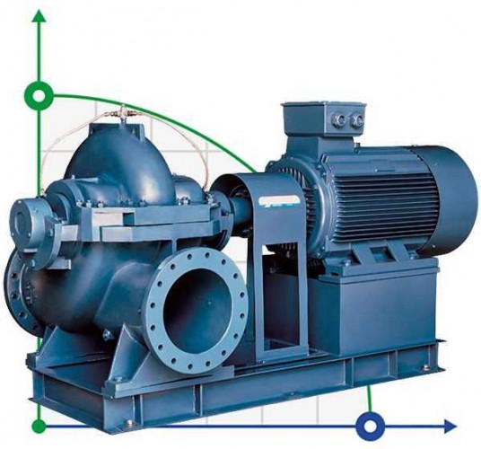 BSM4 350-590A1, (1000) - pompa z podwójnym wejściem, analog D 4000-95A-2