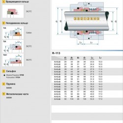 Uszczelnienie pompy R-113 20, SIC/SIC, VITON, 304
