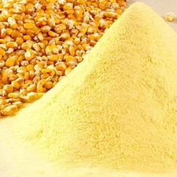 Młyn, obłuskiwanie, kompleksowe przetwarzanie kukurydzy 240 ton dziennie