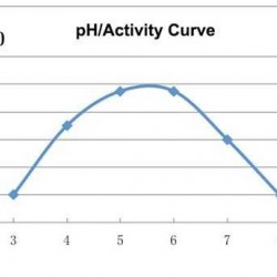 Grzyb endo-alfa-Amylaza SQZYME FAL, kg