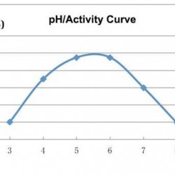 Grzyb endo-alfa-Amylaza SQZYME FAL, kg