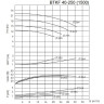 BTKF 40-250 Pompa jednostopniowa wspornikowa, bez silnika (1500)