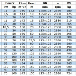 Odśrodkowa pompa pionowa IRG BGLB 125-100 (160/12,5), 11kW, 2880 Ex