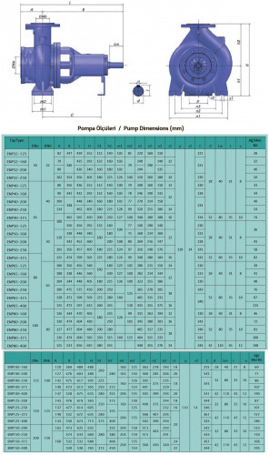 Jednostopniowa pompa wspornikowa ENP 100-200, 200m3/h, 60m, 45 kW, 3000 obr/min, stal węglowa, Ex, PLAN 01 API SEAL