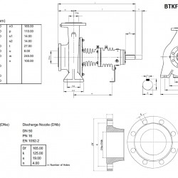 Agregat pompowy oleju termicznego BTKF-K 50-200, 22 kW (3480) 60 Hz
