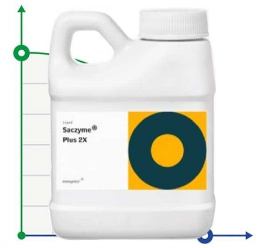 Saczyme® plus 2x (saczyme® Plus 2x) glukoamylaza