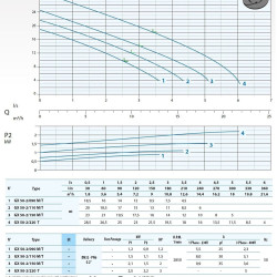 Pompa głębinowa Dreno GX-EX 50-2/150 M z systemem tnącym