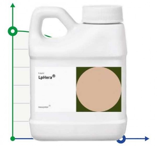 L-fera® (lphera®) termostabilna alfa-Amylaza