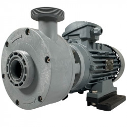 Plastikowa pomDiaPump PA do kwasów DiaPump PA2220 PP, 2,2 kW, 3000 obr/min, 220V