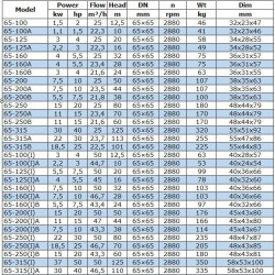 Pompa transferowa oleju napędowego IRG BGLB 65-250(I) (50/80), 22kW, 2880 Ex