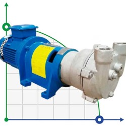 Pompa próżniowa 2BV6131 (AISI 316)