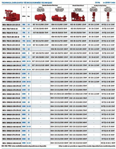 Automatyczna elektryczna pompownia gaśnicza BEEJ 750/13-125-15 (47 l/s, 130 m, 90 kW)