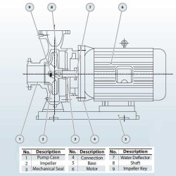 BGWH 65-315B (22,5/101), 18,5kW, 2880 - pompa ze stali nierdzewnej pozioma