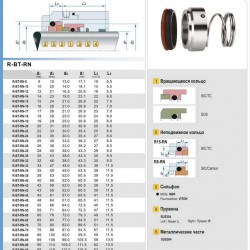 Uszczelnienie pompy R-BT-RN 38, SS/CAR, VITON, 304, T8RN