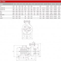Pompa oleju termicznego RGZ-100E -30°C+200°C