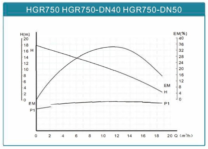 Cyrkulacyjna pompa osuszająca HGR750-DN50, 220V z mokrym wirnikiem